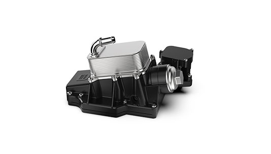 ��˹ά��˹9888(�й���)�ٷ���վ